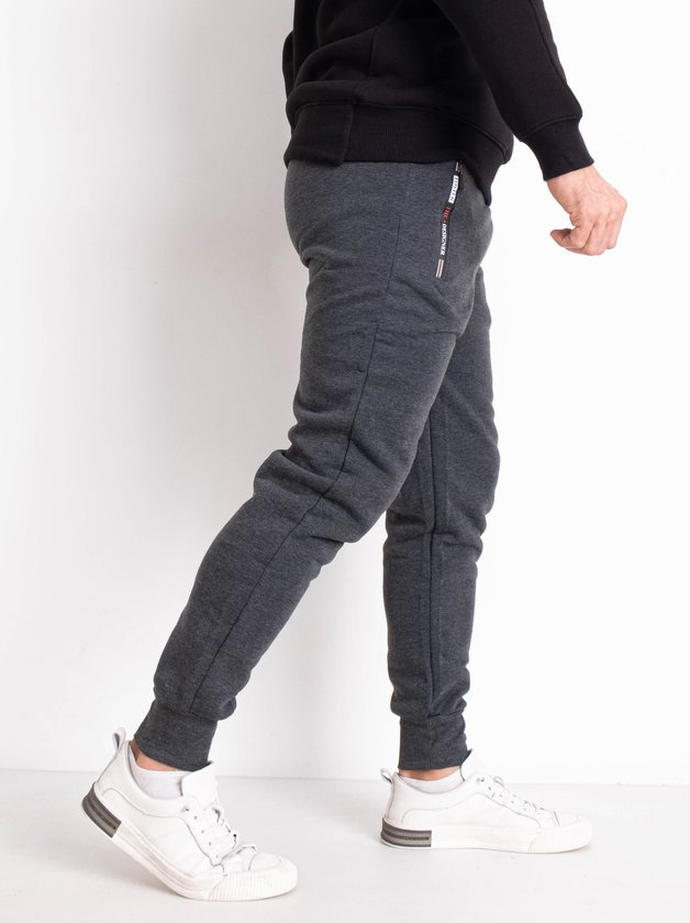 Спортивні чоловічі штани на флісі #6119 колір Сірий